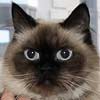 ����