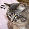 Myfluffyhapines Davinci